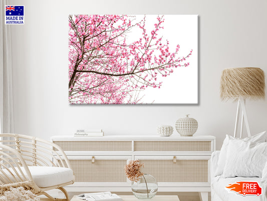 A Tree Full of Cherry Blossom Print 100% Australian Made - Bella Home Decor