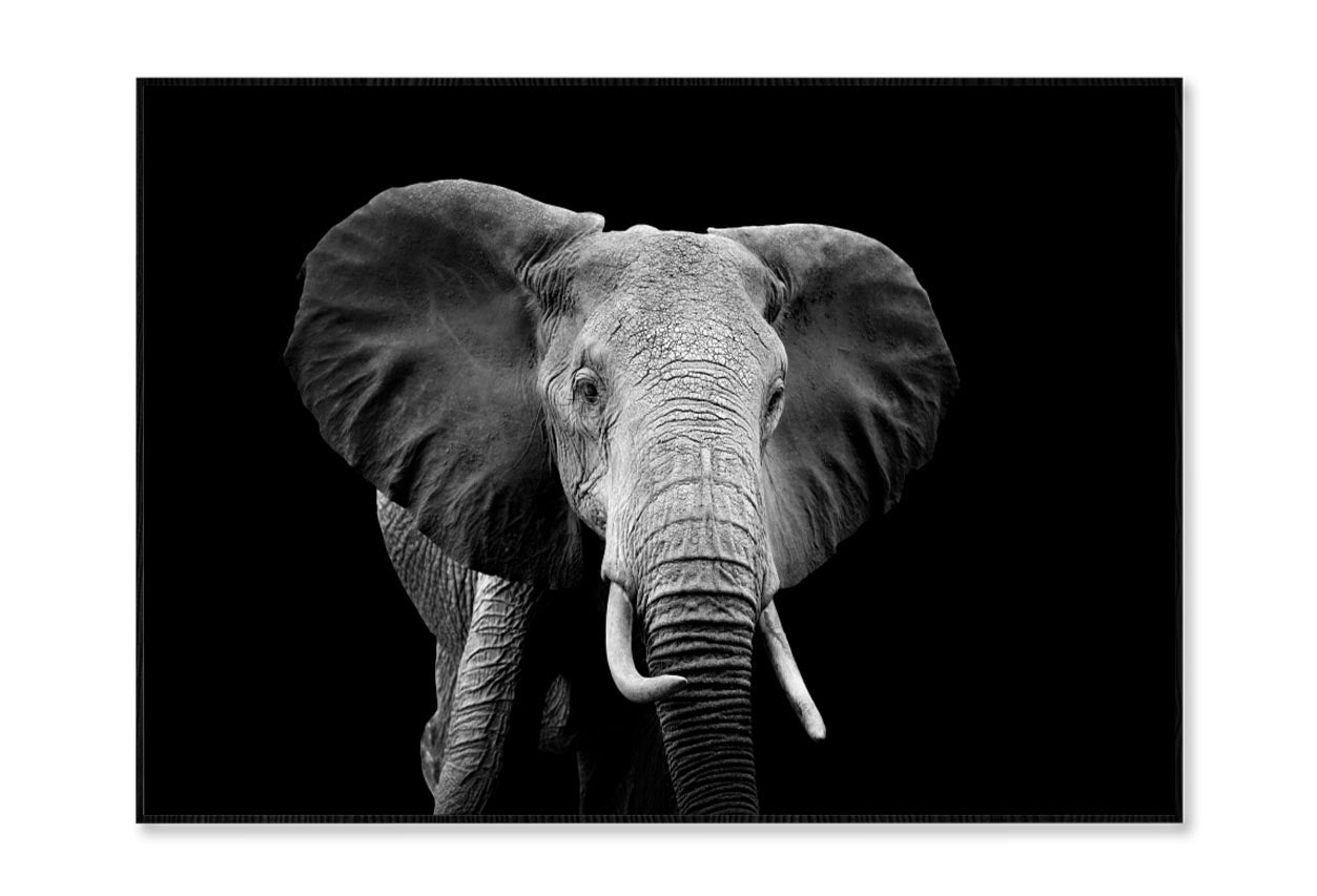 Black And White Photo of An Elephant Home Decor Premium Quality Poster Print Choose Your Sizes