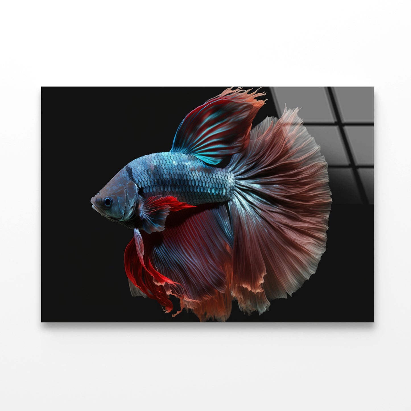 Colorful Fish Swimming In the Water Acrylic Glass Print Tempered Glass Wall Art 100% Made in Australia Ready to Hang - Bella Home Decor