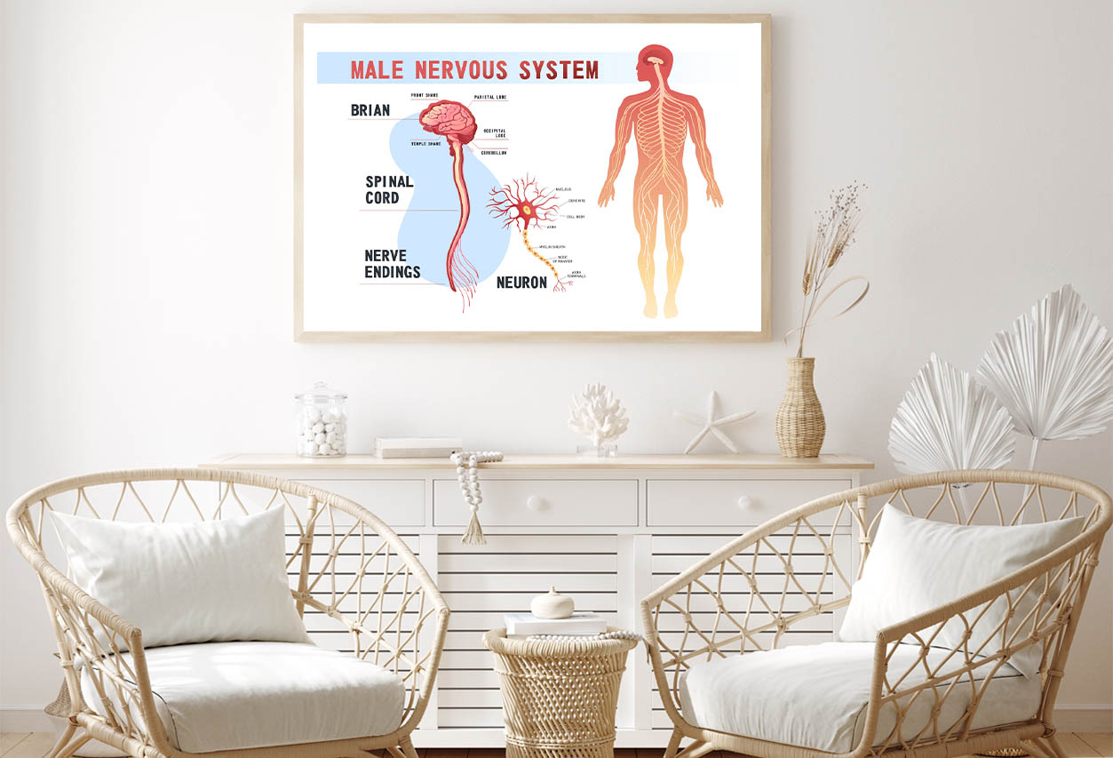 System Educational Scheme Home Decor Premium Quality Poster Print Choose Your Sizes