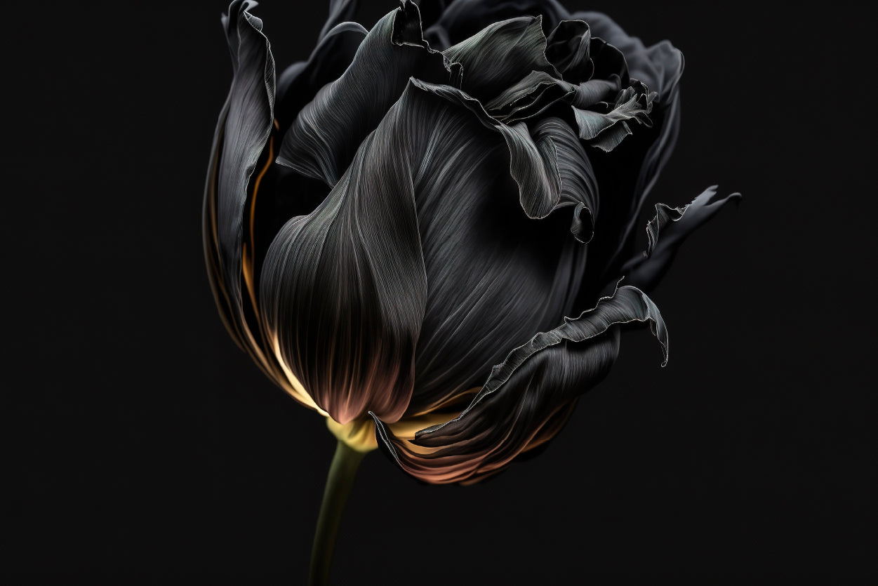 Striking Black Flower with a Vibrant Yellow Home Decor Premium Quality Poster Print Choose Your Sizes