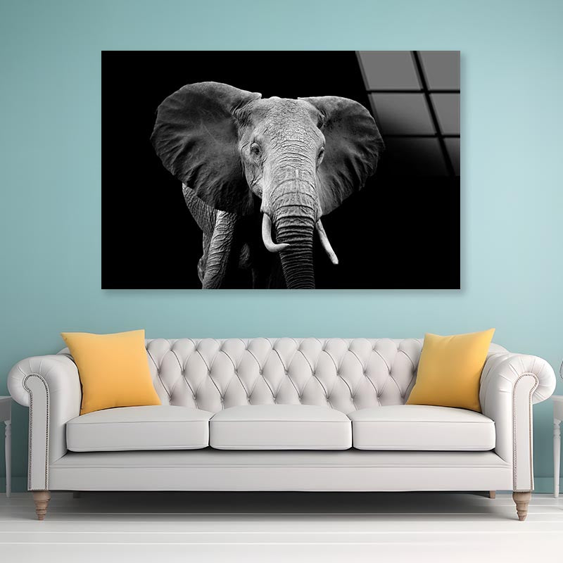 Black And White Photo of An Elephant Acrylic Glass Print Tempered Glass Wall Art 100% Made in Australia Ready to Hang