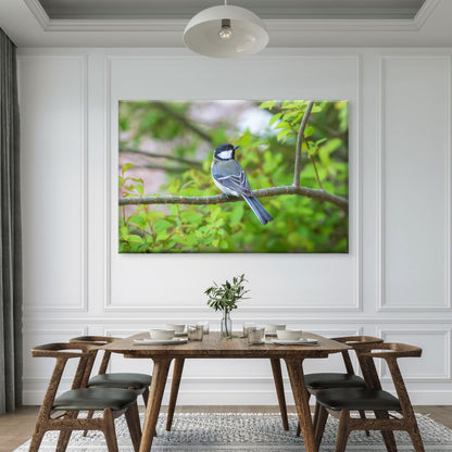 Charming Eastern Great Tit Bird  in nature, South Korea  Wall Art Decor 100% Australian Made