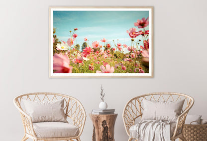 Cosmos Flower Blossom in Garden Home Decor Premium Quality Poster Print Choose Your Sizes