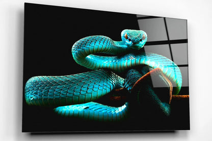 Blue Snake Acrylic Glass Print Tempered Glass Wall Art 100% Made in Australia Ready to Hang