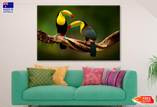 Toucan Sitting on The Branch in The Forest Wall Art Decor 100% Australian Made