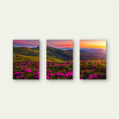 3pcs Wildflower Mountain Sunset Purple Field Wall Art Set Canvas Framed 40x60cm - High Quality Print 100% Australian Made Wall Canvas Ready to Hang