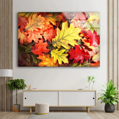 Autumn Tree Leaves View UV Direct Aluminum Print Australian Made Quality