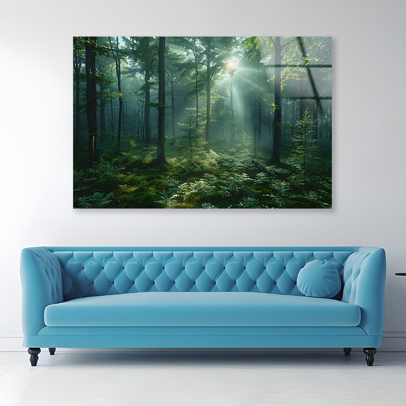 Forest with Sunrise View Acrylic Glass Print Tempered Glass Wall Art 100% Made in Australia Ready to Hang - Bella Home Decor