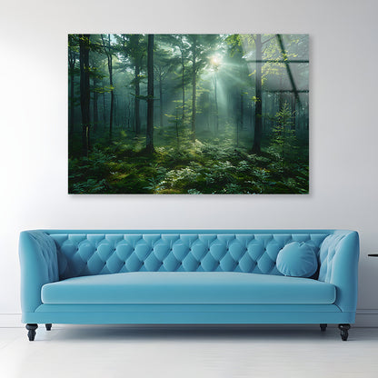 Forest with Sunrise View Acrylic Glass Print Tempered Glass Wall Art 100% Made in Australia Ready to Hang - Bella Home Decor