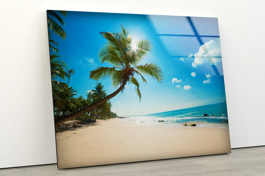 Palm Tree & Sea View UV Direct Aluminum Print Australian Made Quality