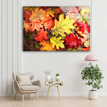 Autumn Tree Leaves View UV Direct Aluminum Print Australian Made Quality