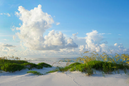 Early Morning Light on A Beautiful White Sand Beach of The Florida Gulf Coast Home Decor Premium Quality Poster Print Choose Your Sizes - Bella Home Decor
