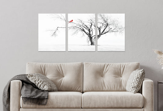 3pcs Winter White Black Tree with Red Bird Framed 50x70cm - High Quality Print 100% Australian Made Wall Canvas Ready to Hang