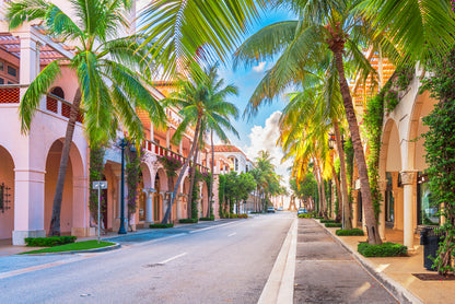 Palm Trees in Streets of Florida Home Decor Premium Quality Poster Print Choose Your Sizes - Bella Home Decor