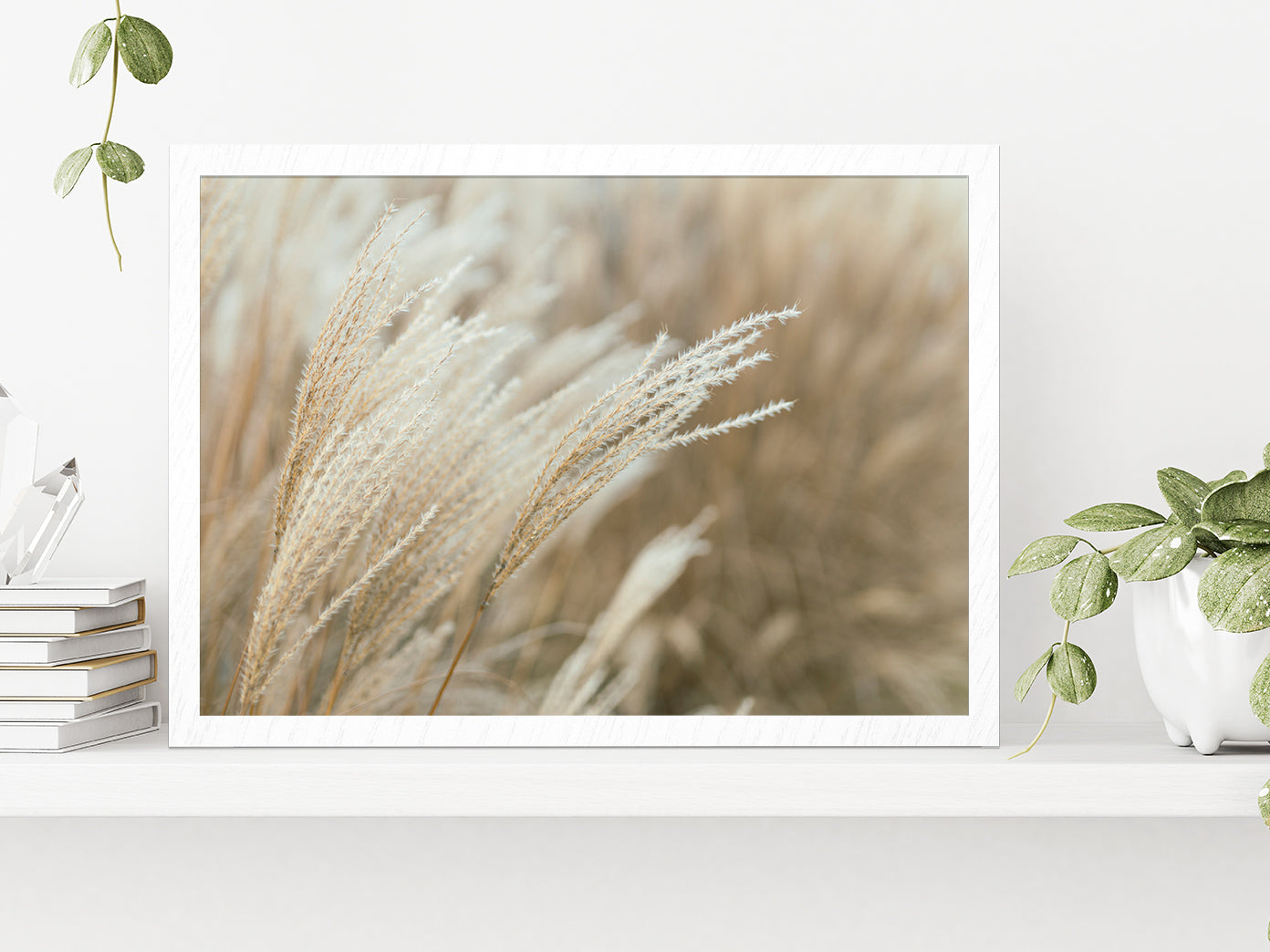 Frosted Grass On A Blurry Bokeh Glass Framed Wall Art, Ready to Hang Quality Print Without White Border White