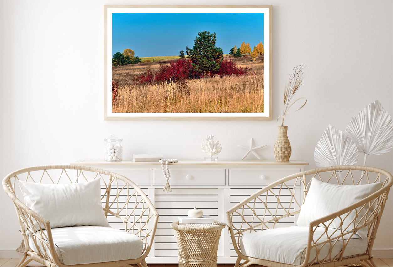 A Field Of Tall Grass With Trees an Autumn Vibe Home Decor Premium Quality Poster Print Choose Your Sizes