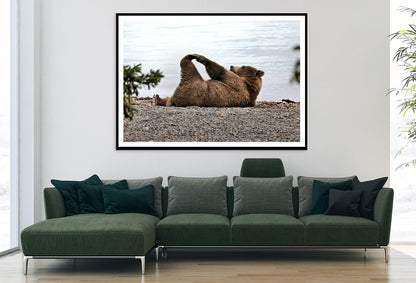 A Bear Stretches on The Beach in Katmai Home Decor Premium Quality Poster Print Choose Your Sizes