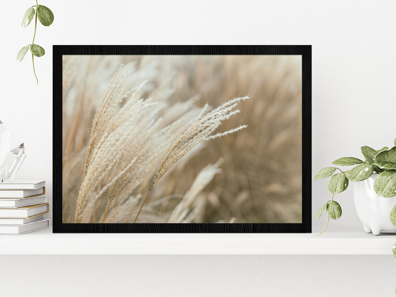 Frosted Grass On A Blurry Bokeh Glass Framed Wall Art, Ready to Hang Quality Print Without White Border Black