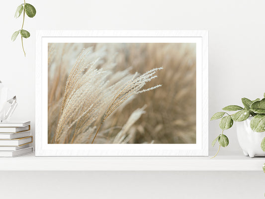 Frosted Grass On A Blurry Bokeh Glass Framed Wall Art, Ready to Hang Quality Print With White Border White