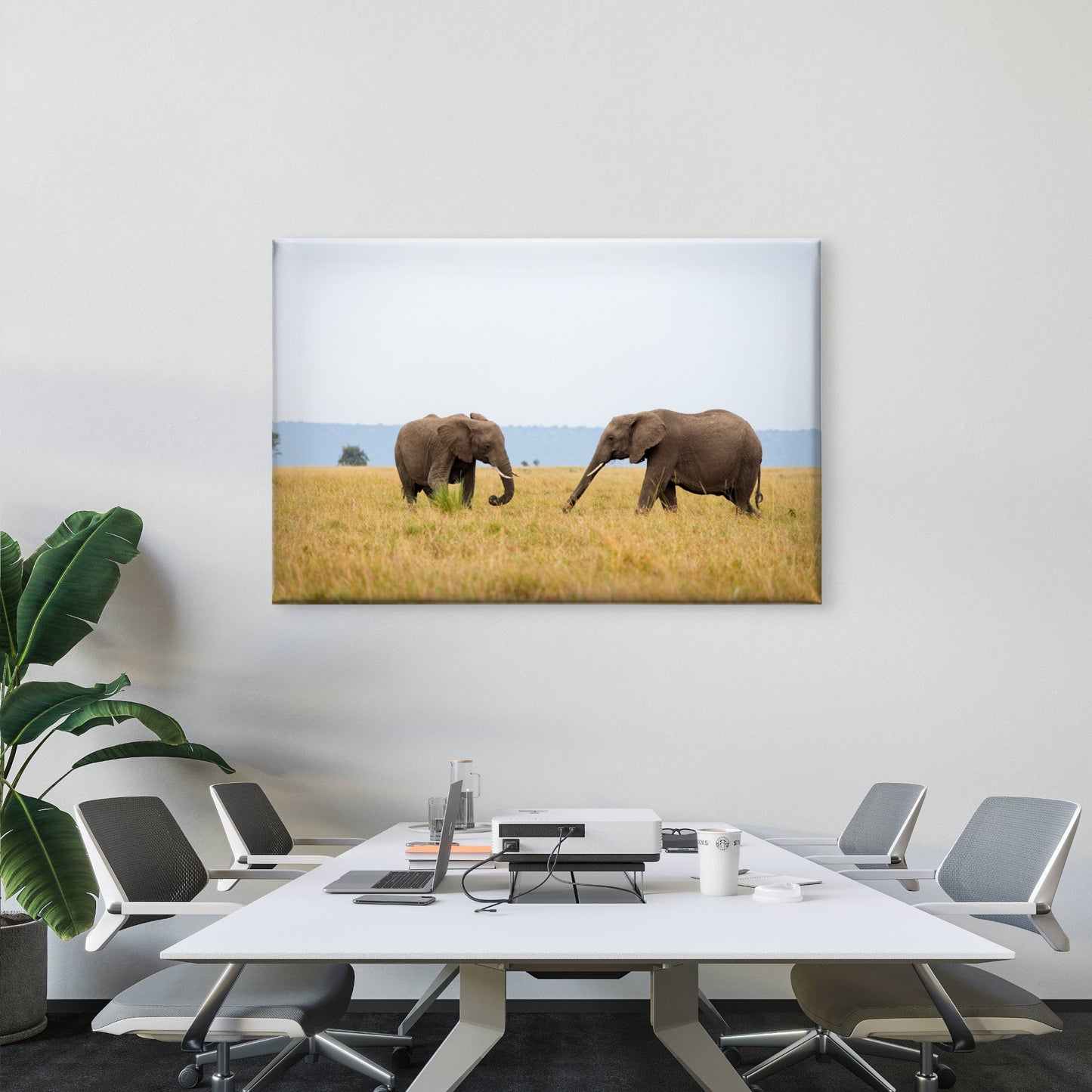 Two African elephants walking across Masai Mara grassland, Kenya  Wall Art Decor 100% Australian Made