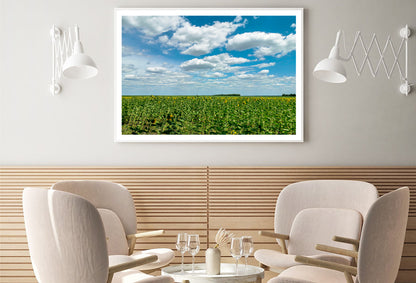 A Field Of Green Plants under a Cloudy Sky Home Decor Premium Quality Poster Print Choose Your Sizes