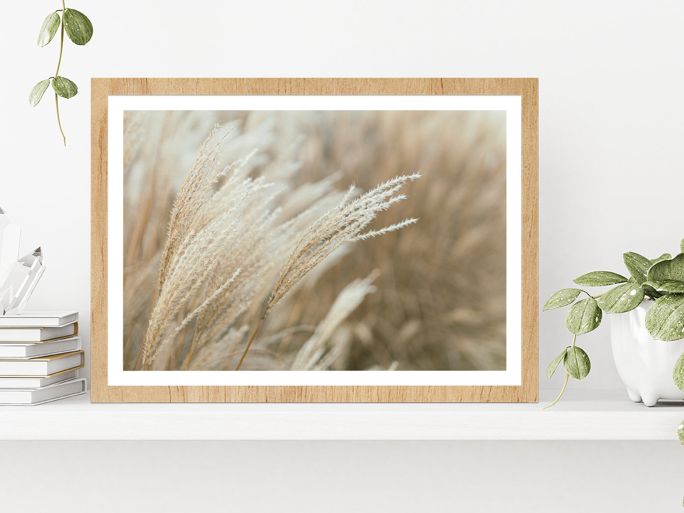 Frosted Grass On A Blurry Bokeh Glass Framed Wall Art, Ready to Hang Quality Print With White Border Oak