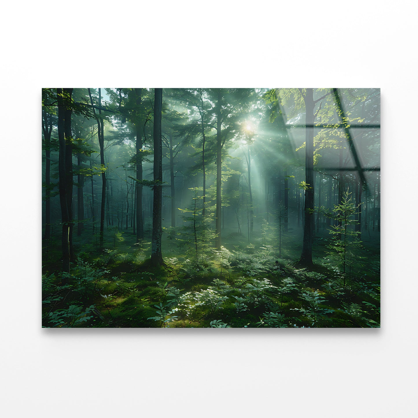 Forest with Sunrise View Acrylic Glass Print Tempered Glass Wall Art 100% Made in Australia Ready to Hang - Bella Home Decor