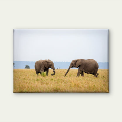Two African elephants walking across Masai Mara grassland, Kenya  Wall Art Decor 100% Australian Made