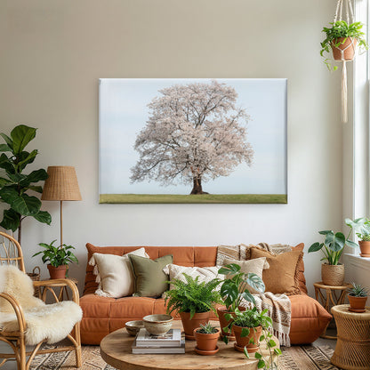 Beautiful standalone cherry blossom tree in spring, South Korea Wall Art Decor 100% Australian Made