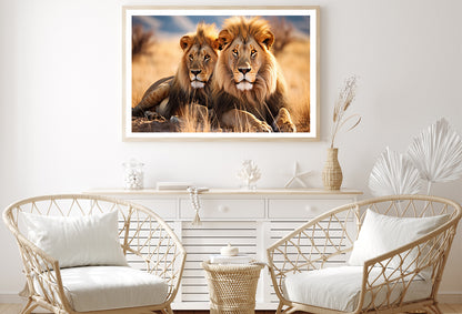 Majestic Lions Resting In the Golden Grasslands Home Decor Premium Quality Poster Print Choose Your Sizes