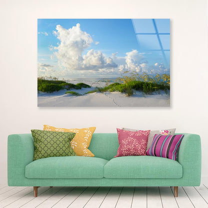 Early Morning Light on A Beautiful White Sand Beach of The Florida Gulf Coast Acrylic Glass Print Tempered Glass Wall Art 100% Made in Australia Ready to Hang