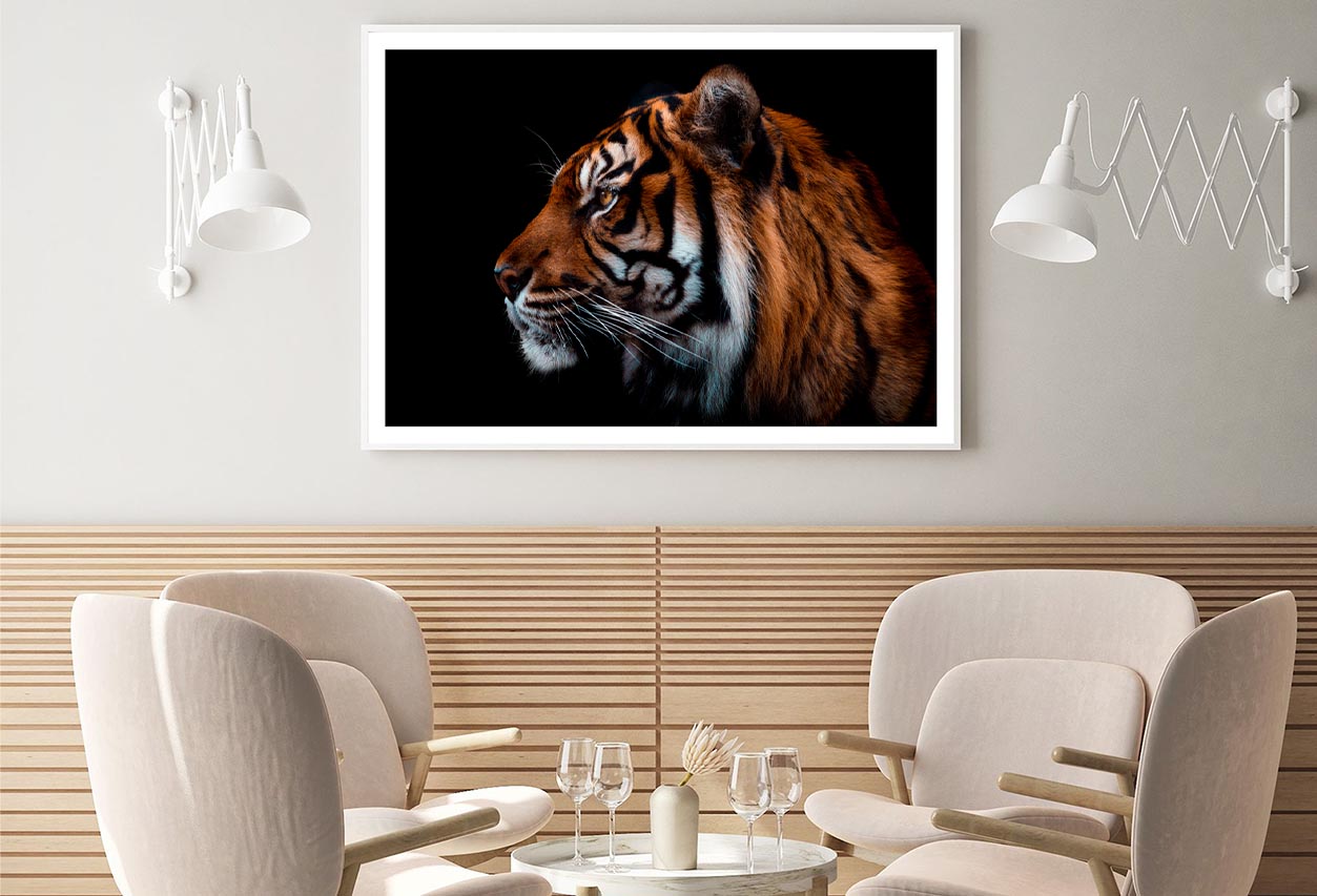 View Of Sumatran Tiger Black Background Home Decor Premium Quality Poster Print Choose Your Sizes - Bella Home Decor
