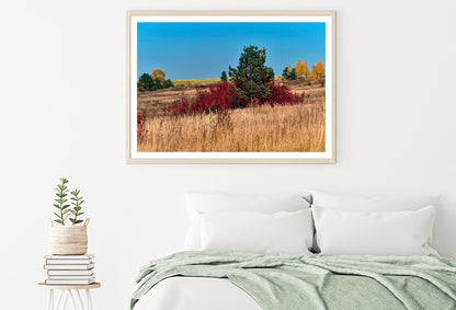 A Field Of Tall Grass With Trees an Autumn Vibe Home Decor Premium Quality Poster Print Choose Your Sizes