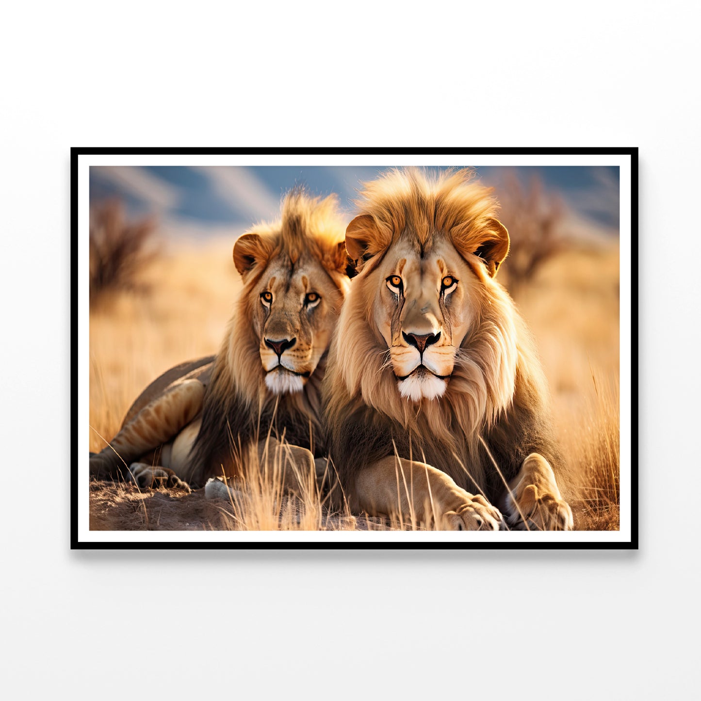 Majestic Lions Resting In the Golden Grasslands Home Decor Premium Quality Poster Print Choose Your Sizes