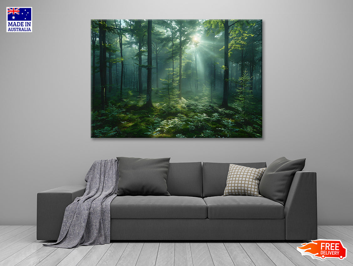 Forest with Sunrise View Print 100% Australian Made - Bella Home Decor