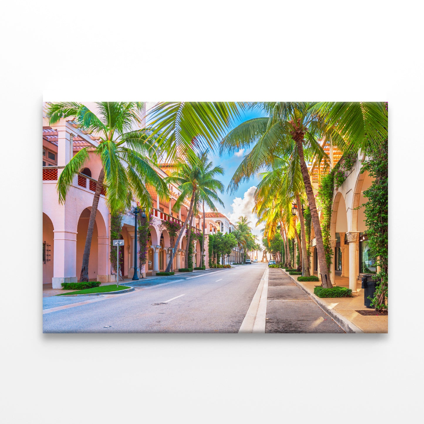 Palm Trees in Streets of Florida Print 100% Australian Made - Bella Home Decor