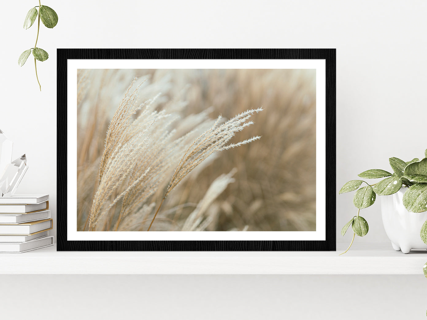 Frosted Grass On A Blurry Bokeh Glass Framed Wall Art, Ready to Hang Quality Print With White Border Black