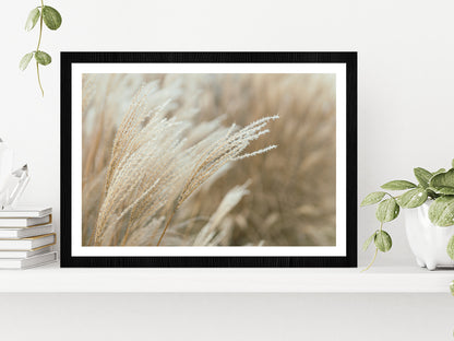 Frosted Grass On A Blurry Bokeh Glass Framed Wall Art, Ready to Hang Quality Print With White Border Black