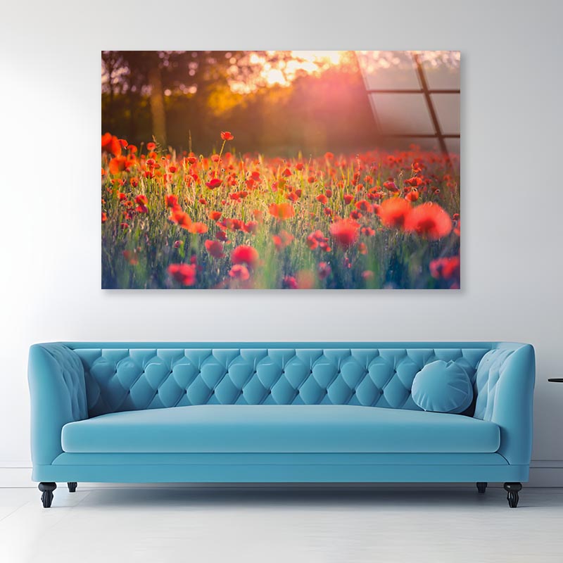 Stunning Red Poppies Acrylic Glass Print Tempered Glass Wall Art 100% Made in Australia Ready to Hang