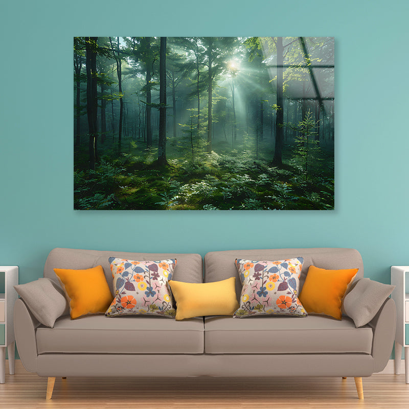 Forest with Sunrise View Acrylic Glass Print Tempered Glass Wall Art 100% Made in Australia Ready to Hang - Bella Home Decor