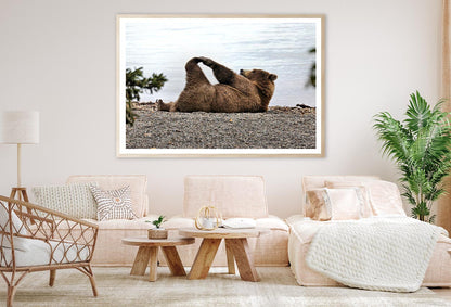 A Bear Stretches on The Beach in Katmai Home Decor Premium Quality Poster Print Choose Your Sizes