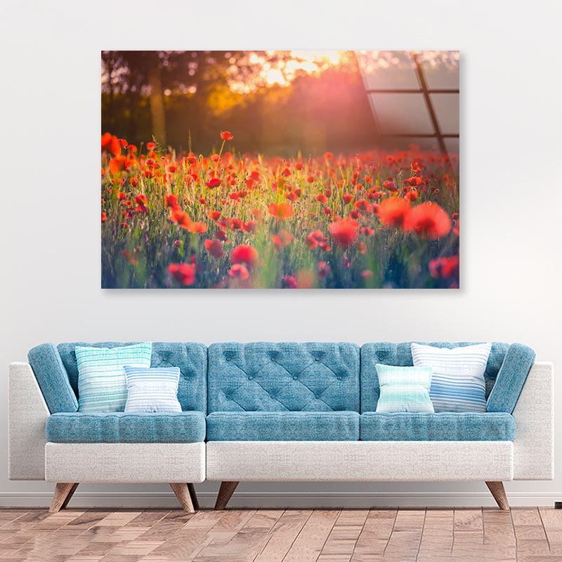 Stunning Red Poppies Acrylic Glass Print Tempered Glass Wall Art 100% Made in Australia Ready to Hang