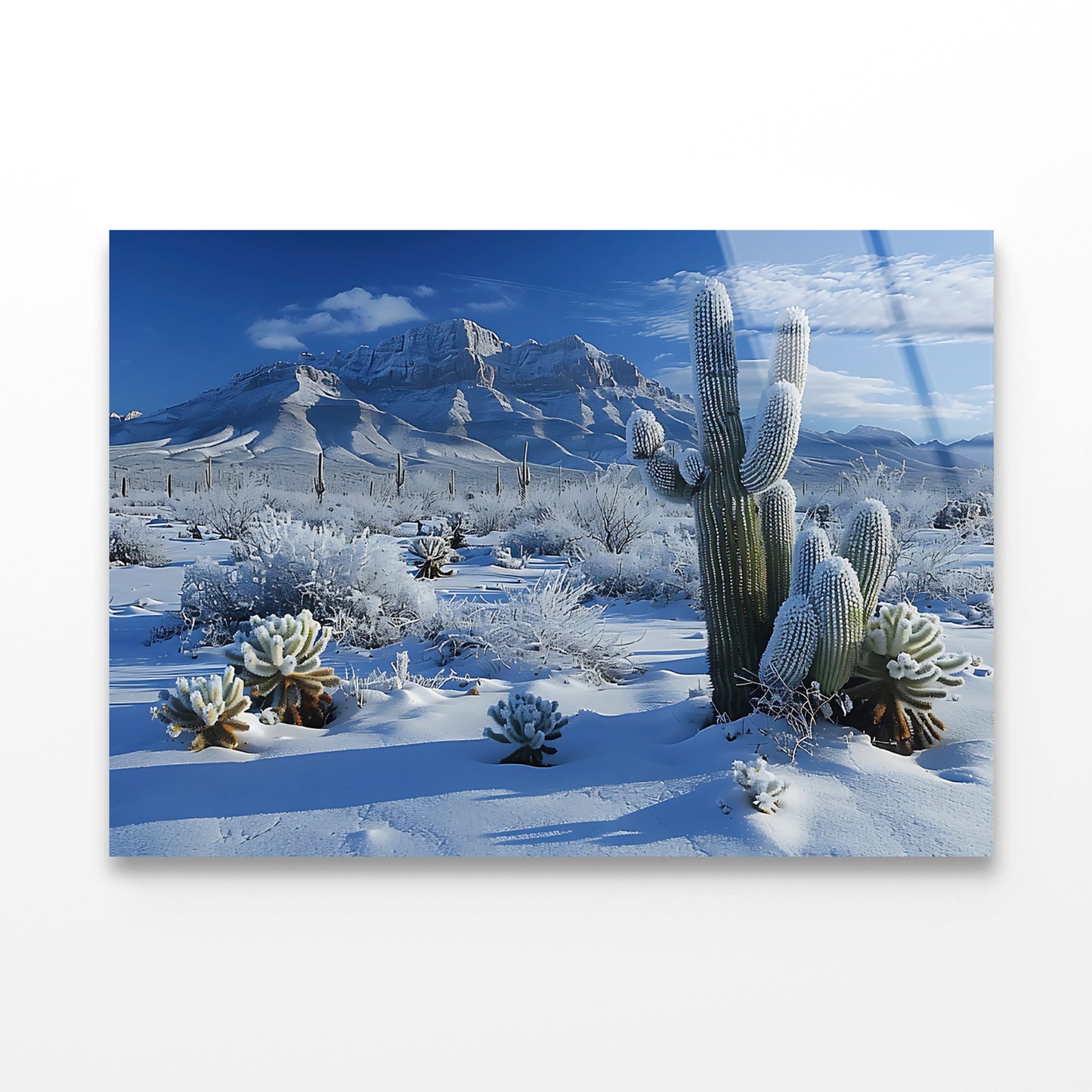 Winter with Snow Covered Trees Acrylic Glass Print Tempered Glass Wall Art 100% Made in Australia Ready to Hang - Bella Home Decor