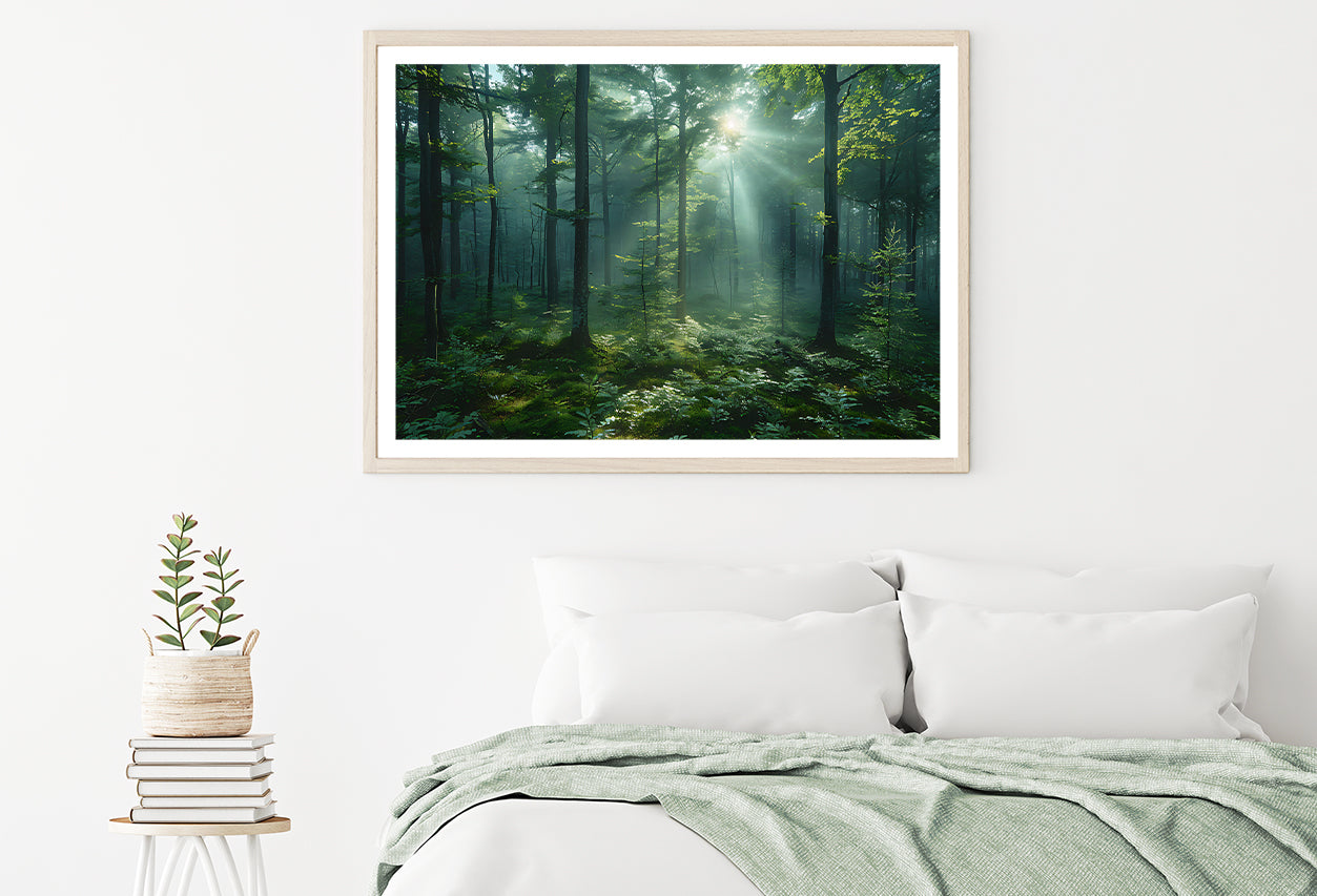 Forest with Sunrise View Home Decor Premium Quality Poster Print Choose Your Sizes - Bella Home Decor