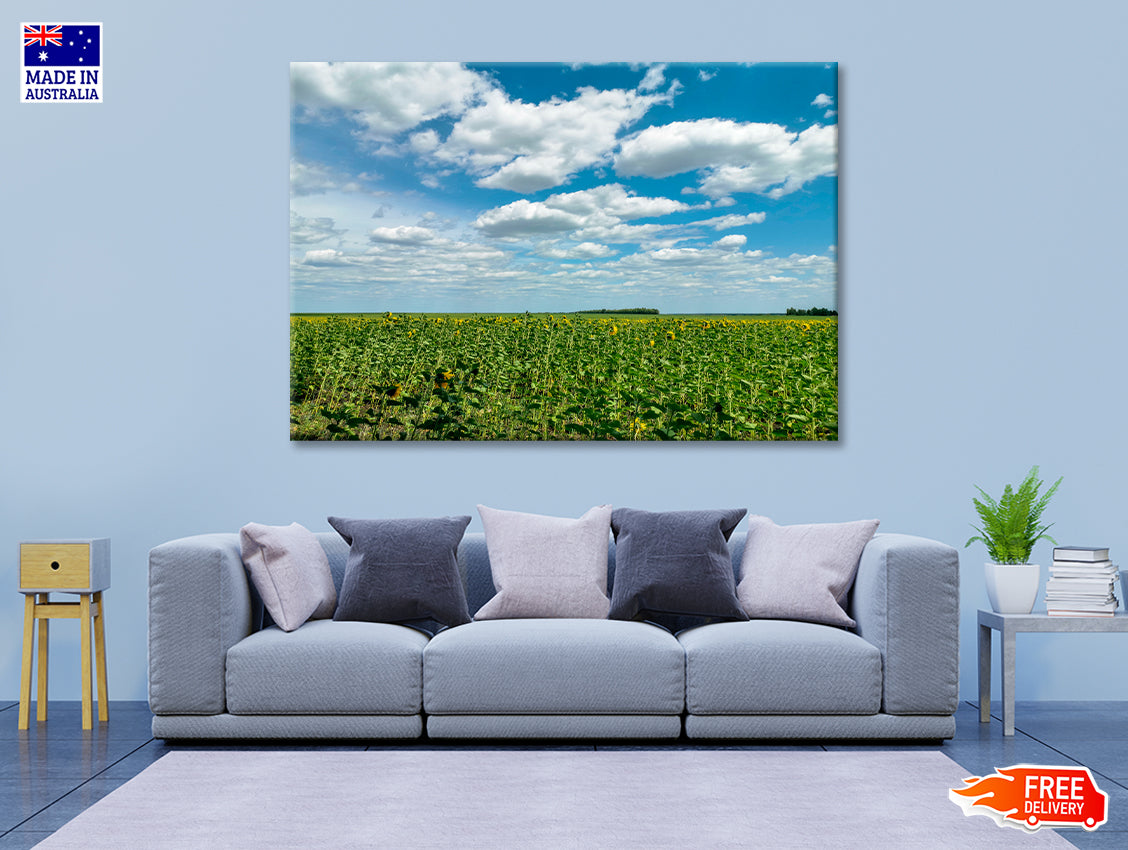 A Field Of Green Plants under a Cloudy Sky Print 100% Australian Made