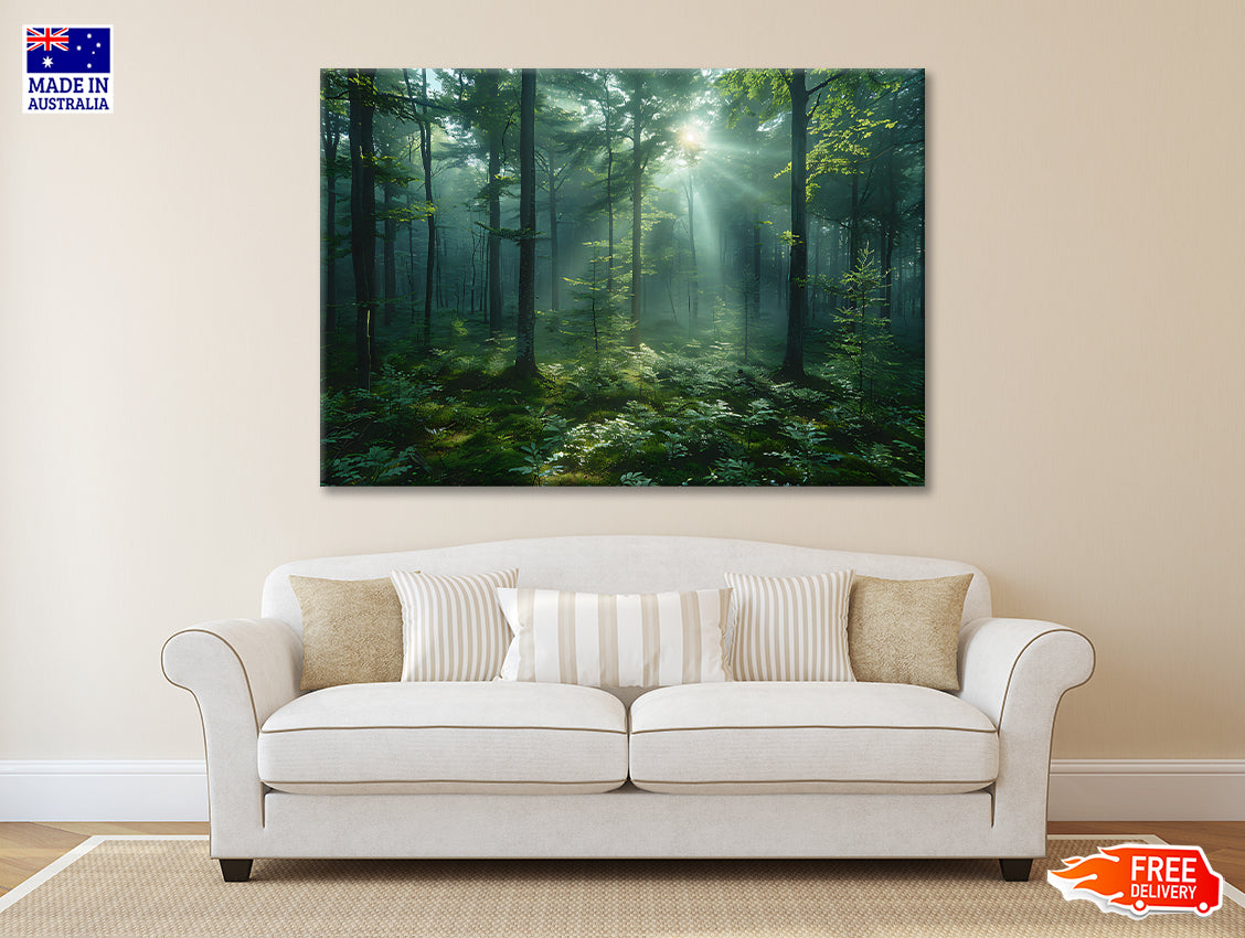 Forest with Sunrise View Print 100% Australian Made - Bella Home Decor