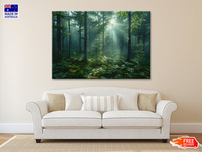 Forest with Sunrise View Print 100% Australian Made - Bella Home Decor