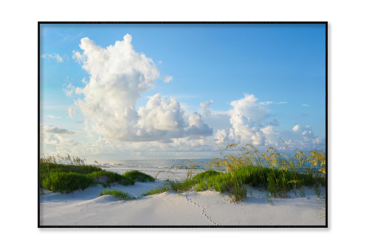 Early Morning Light on A Beautiful White Sand Beach of The Florida Gulf Coast Home Decor Premium Quality Poster Print Choose Your Sizes - Bella Home Decor