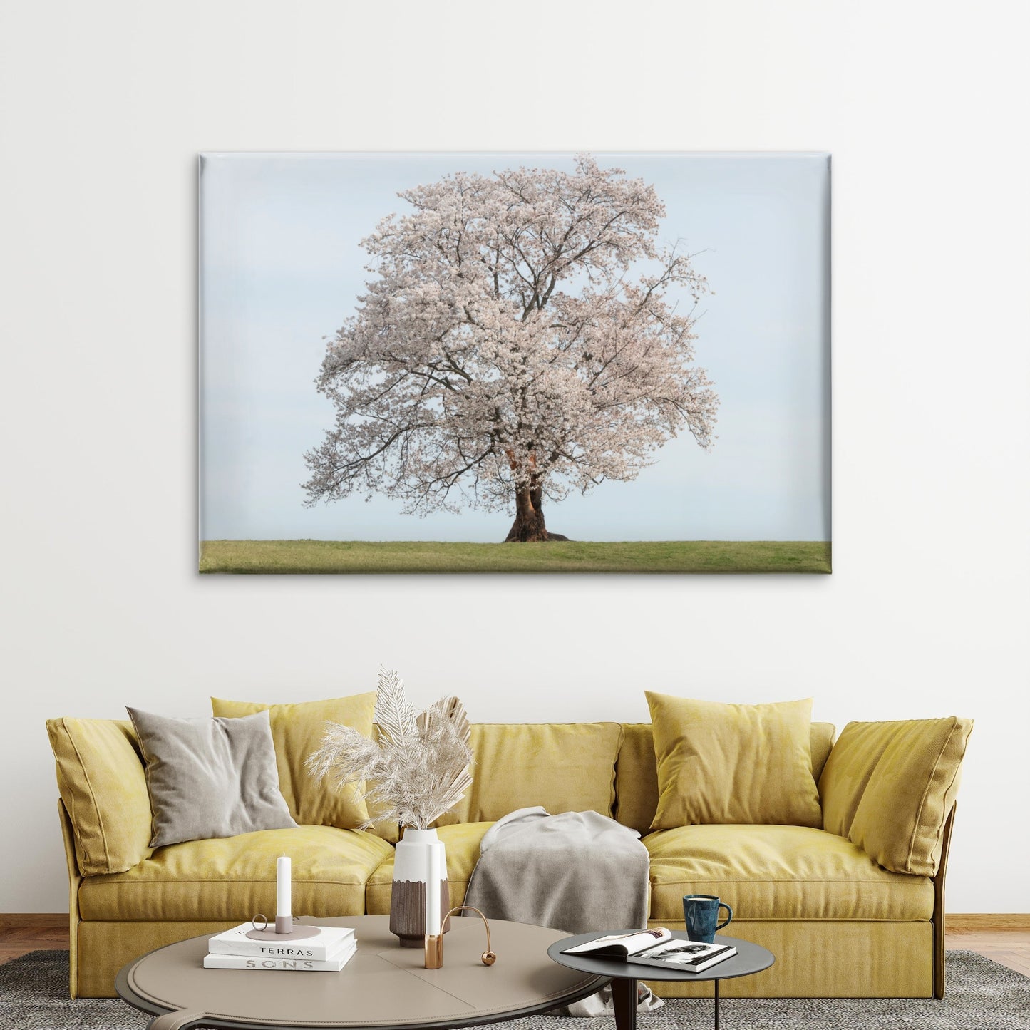 Beautiful standalone cherry blossom tree in spring, South Korea Wall Art Decor 100% Australian Made